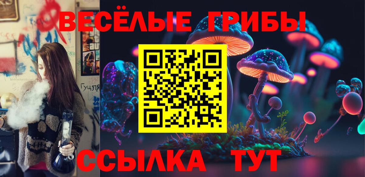 Галлюциногенные грибы MAGIC MUSHROOMS Торжок