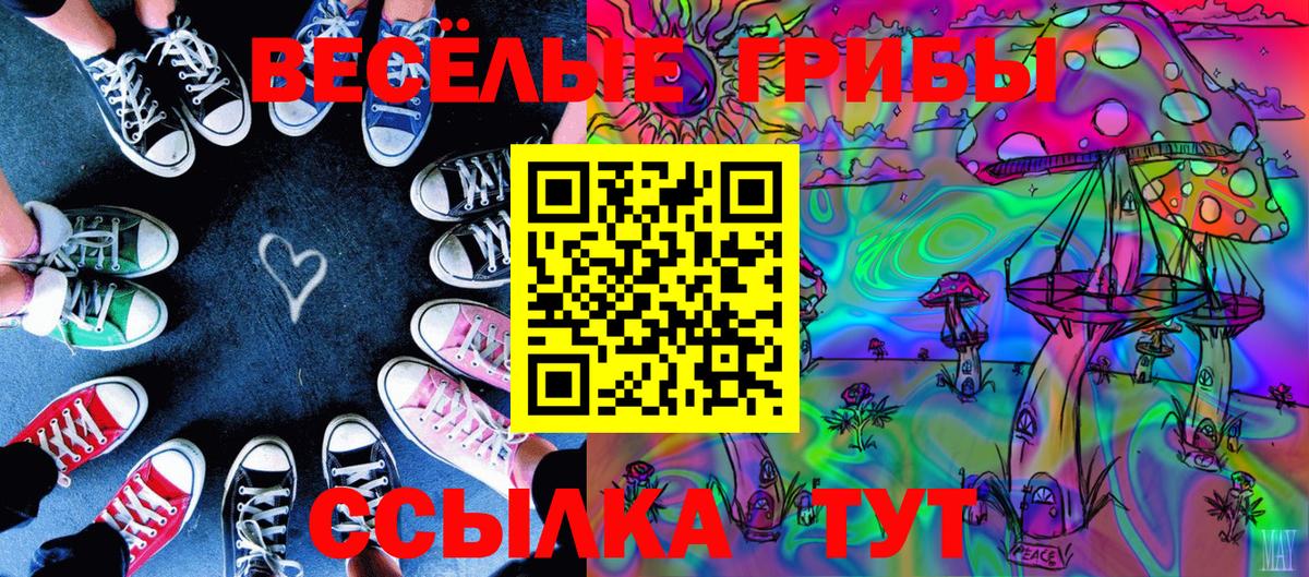 Торжок  Псилоцибиновые грибы Cubensis  Псилоцибиновые грибы GOLDEN TEACHER  Вход с VPN 